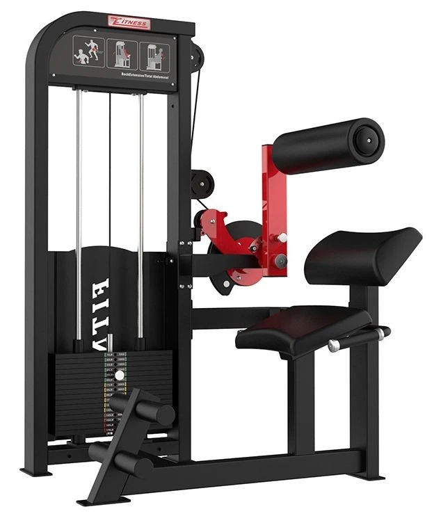 Back And Abdominal Combo factory